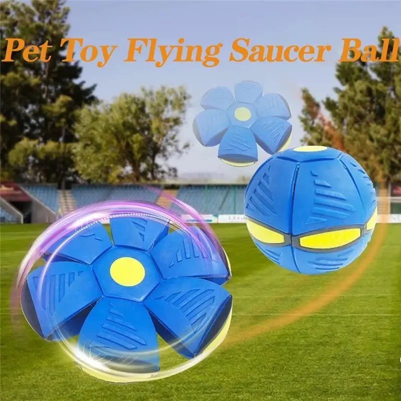 Funet Flying Saucer Pet Toy