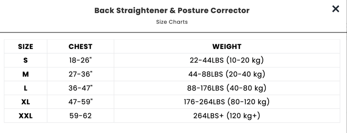 FlexSpine | Back Posture Corrector