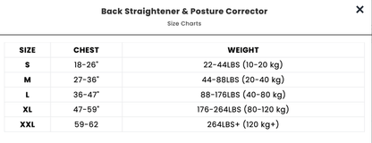 FlexSpine | Back Posture Corrector